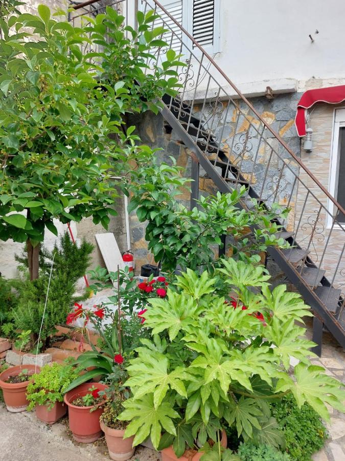 Herta Apartment Berat Exterior photo